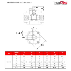 RBS 3 pièces acier forgé A105N class 800 DIMENSIONS PLATINE ISO ET AXE ( en mm ) 745 