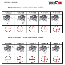 RBS 3 voies à brides acier ASTM A216 WCB PN 16 POSITIONS POSSIBLES 783 784
