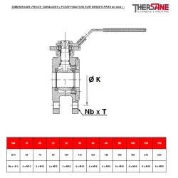 DIMENSIONS TROUS TARAUDES ( POUR FIXATION SUR BRIDES PN16 en mm )  771
