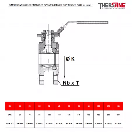 robinet-tournant-sph-rique-rbs-mod-le-troit-brides-acier-inox-astm