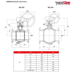 RBS 2 pièces à brides acier ASTM A216 WCB PN 16/40 DIMENSIONS DN 250 - 300 ( en mm ) 762