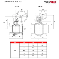 RBS 2 pièces à brides acier inox ASTM A351 CF8M DIMENSIONS DN 250 - 300 ( en mm ) 763