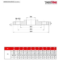 RBS 2 pièces à brides acier ASTM A216 WCB ISO PN20 ANSI 150 DIMENSIONS BRIDES ( en mm ) 793