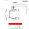 DIMENSIONS DN 150 RBS 2 pièces à brides acier inox ASTM A351 CF8M ISO PN20 ANSI 150 794