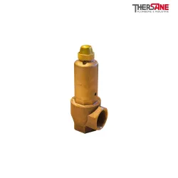 Soupapes de sécurité série G corps bronze