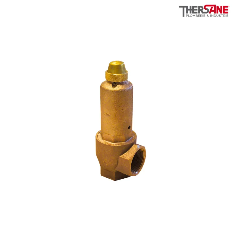 Soupapes de sécurité série G corps bronze