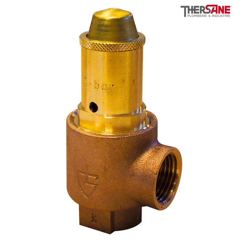 Soupapes de sécurité série G corps bronze