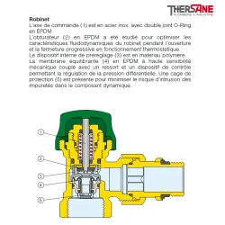 Schéma Robinet thermostatique dynamique