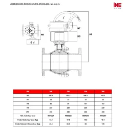 RBS 2 pièces à brides PN16/40 DIMENSIONS REDUCTEURS DN100-200 752
