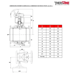 RBS 2 pièces à brides PN16/40 ACIER INOX ASTM A351 CF8M DIMENSIONS ROBINETS DN250 300 A CMD PAR REDUCTEUR 753