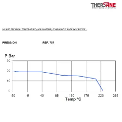 RBS 2 pièces à brides CLASS 150 PN20 ACIER INOX ASTM A351 CF8M COURBE PRESSION-TEMPERATURE ( HORS VAPEUR ) 757