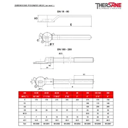 RBS 2 pièces à brides CLASS 300 PN50 ACIER ASTM A216 WCB DIMENSIONS POIGNEES INOX ( en mm ) 768