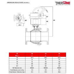 RBS 2 pièces à brides CLASS 300 PN50 ACIER INOX ASTM A351 CF8M DIMENSIONS REDUCTEURS ( en mm ) 769