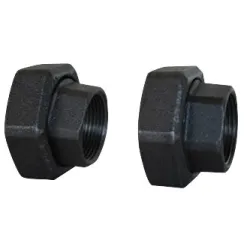 Raccord union à visser pour circulateur 2" fonte femelle