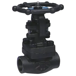 Vanne à opercule acier forgé A105N CLASS 800 TRIM8