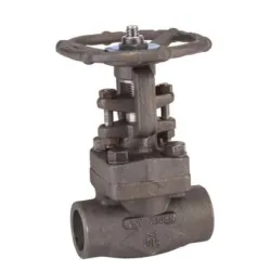 Vanne à opercule acier A 350LF2 forge class 800 trim 12