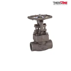 Vanne à opercule acier A 350LF2 forge class 800 trim 12