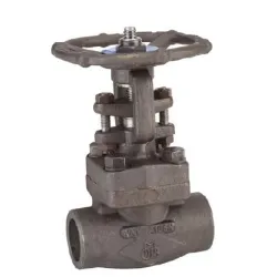 Vanne à opercule acier A350LF2 forgé Chapeau Boulonné class 1500 trim 12