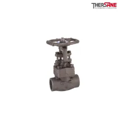 Vanne à opercule acier A350LF2 forgé Chapeau Boulonné class 1500 trim 12