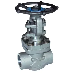 Vanne à opercule inox F316 forgé class 800 trim10 chapeau boulonné