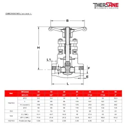 Dimension Vanne à opercule inox F316 forgé class 800 trim10 chapeau boulonné