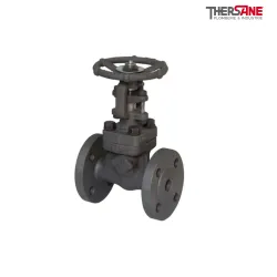 Vanne à opercule acier A105N forgé à brides class 150 PN20 RF trim 5 chapeau boulonné passage intégral