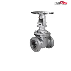 Vanne à opercule acier à brides class 150 PN20 chapeau boulonné