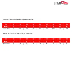 Manoeuvre Vanne à opercule acier à brides class 300 PN50 chapeau boulonné