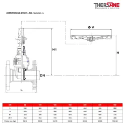 dimension dn80 à 300 Vanne à opercule caoutchouc PN10-16 F5 FSH