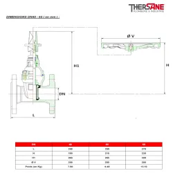 Dimension dn40 à 65 Vanne à opercule caoutchouc PN10-16 F5 FAH