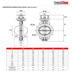Nomenclature robinet seul dn200-400 vanne à papillon double excentration acier PN16-PN25