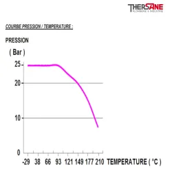 pression vanne à papillon double excentration acier PN16-PN25