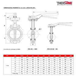 dimension dn40-300 vanne à papillon à oreilles de centrage gamme performance corps et papillon fonte GS avec manchette EPDM ACS