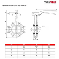dimension robinets dn200-300 vanne à papillon à oreilles taraudées gamme performance