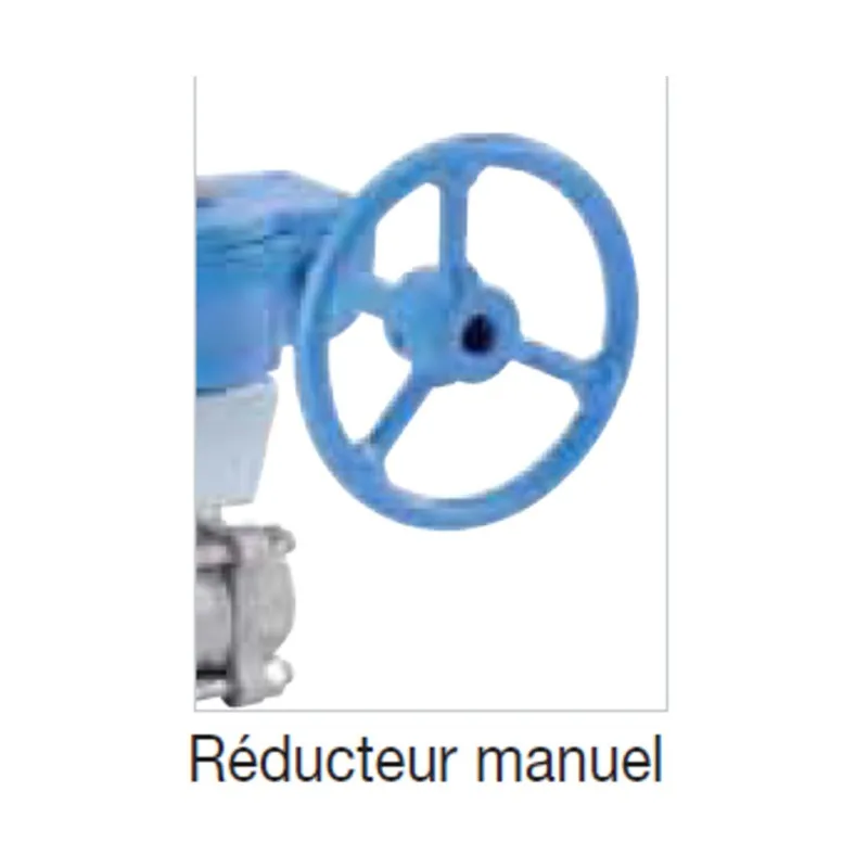 Réducteur à volant pour RBS série ADLER
