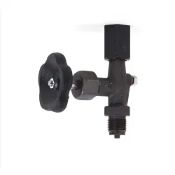 Robinet porte manomètre à pointeau BSP MF 1/2"