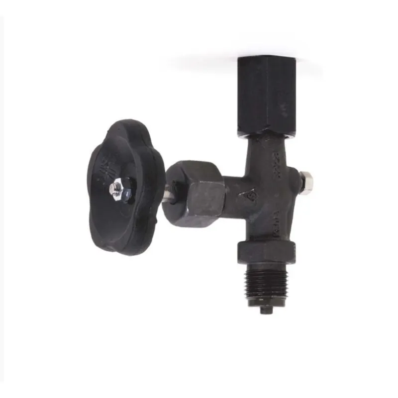 Robinet porte manomètre à pointeau BSP MF 1/2"