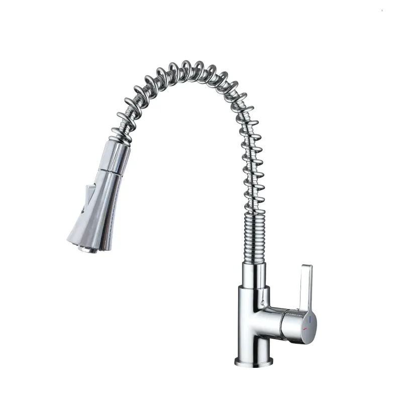 Mitigeur chromé cuisine THEWA DAN14 avec douchette flexible