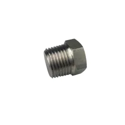 Bouchon tête hexagonale NPT inox 316L série 3000/6000