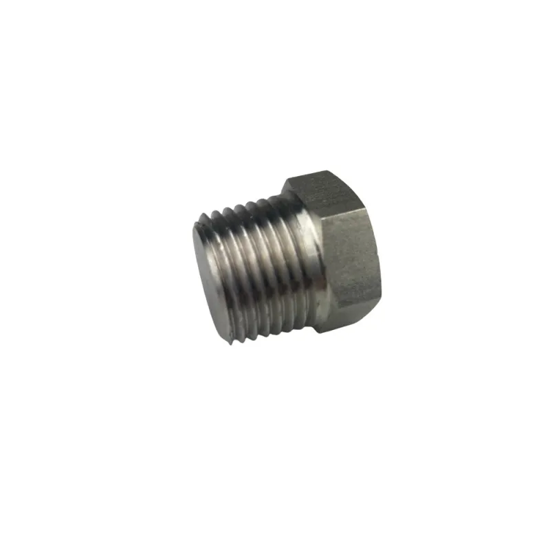 Bouchon tête hexagonale NPT inox 316L série 3000/6000