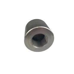 Bouchon Femelle NPT inox 316L série 3000