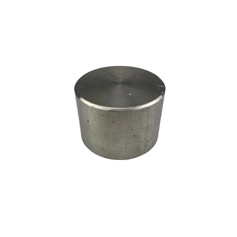 Bouchon à souder inox 316L SW  série 3000