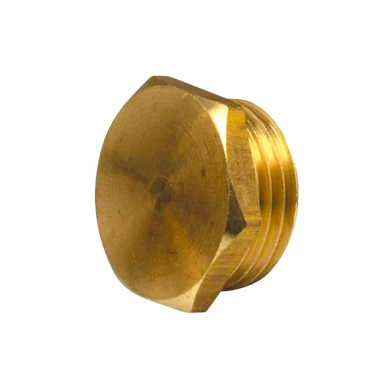 Raccord bouchon 292 G à visser Mâle laiton