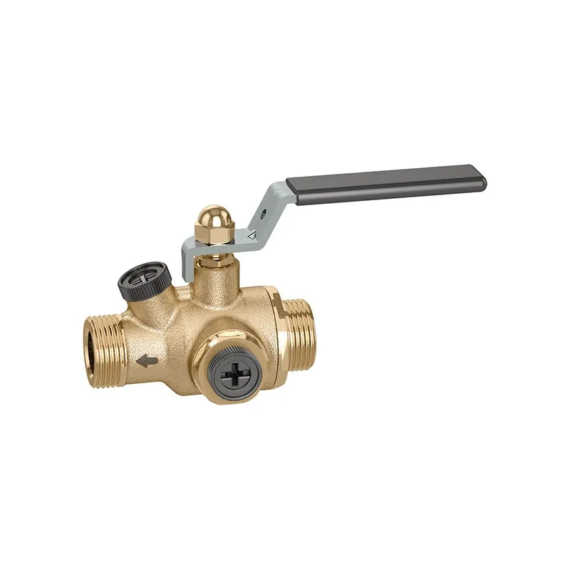 Ballstop vanne à sphère avec clapet anti retour extractible Mâle Mâle