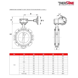 Dimensions robinets DN400-600 Robinet papillon 1135 réducteur monté à manchette EPDM vulcanisé corps fonte papillon fonte