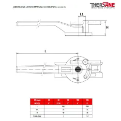 Dimension levier  vanne à papillon double excentration LUG PN 10/16 sièges PTFE