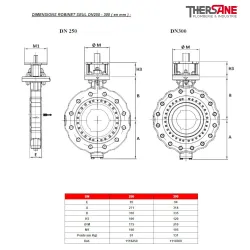 Dimensions DN250-300 Vanne à papillon triple excentration corps acier papillon inox oreilles taraudées