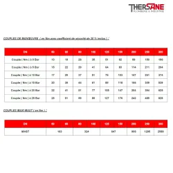 Couple vanne à papillon double excentration acier WAFER PN25