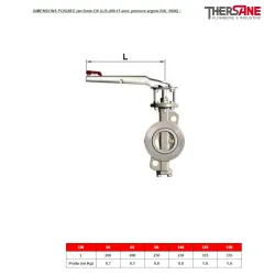 Poignée fonte pour les robinets à papillon double excentration
