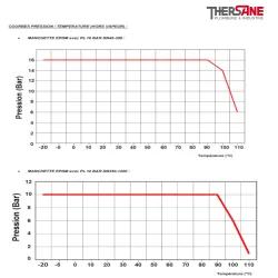 Pression robinet papillon à poignée crantée manchette EPDM oreilles lisses de centrage